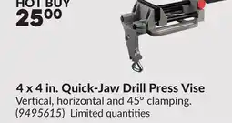 Princess Auto 4 x 4 in. Quick-Jaw Drill Press Vise offer