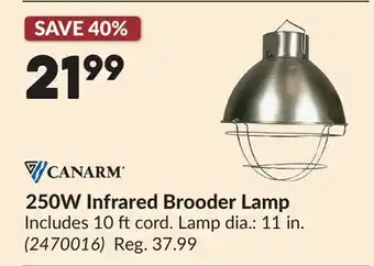 Princess Auto 250W Infrared Brooder Lamp offer