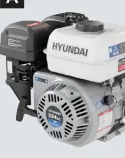 Princess Auto OHV Gas Engines offer