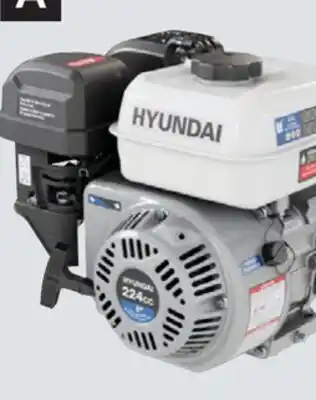 Princess Auto OHV Gas Engines offer