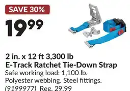 Princess Auto 2 in. x 12 ft3,300 lb E-Track Ratchet Tie-Down Strap offer