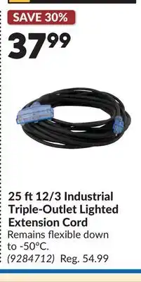 Princess Auto 25 ft12/3 Industrial Triple-Outlet Lighted Extension Cord offer