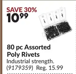 Princess Auto 80 pc Assorted Poly Rivets offer