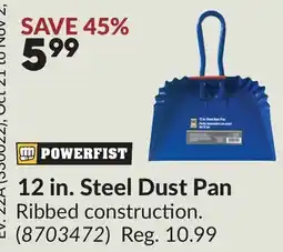 Princess Auto 12 in. Steel Dust Pan offer