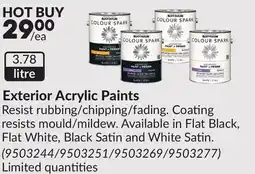 Princess Auto Exterior Acrylic Paints offer