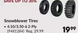 Princess Auto Snowblower Tires offer