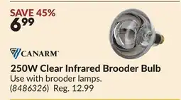 Princess Auto 250W Clear Infrared Brooder Bulb offer
