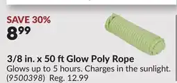 Princess Auto 3/8 in. x 50 ftGlow Poly Rope offer