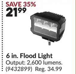 Princess Auto 6 in. Flood Light offer