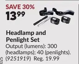 Princess Auto Headlamp and Penlight Set offer