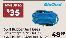 Princess Auto 65 ftRubber Air Hoses offer