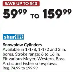 Princess Auto Snowplow Cylinders offer