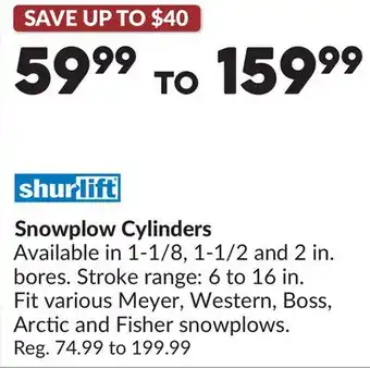 Princess Auto Snowplow Cylinders offer
