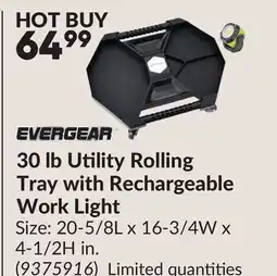 Princess Auto 30 lb Utility Rolling Tray with Rechargeable Work Light offer