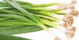 Giant Tiger Green onions offer