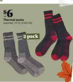 Giant Tiger Thermal socks offer