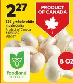Giant Tiger 227 g whole white mushrooms offer