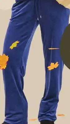 Giant Tiger Velour pants offer