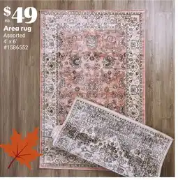 Giant Tiger Area rug offer