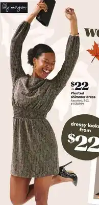 Giant Tiger Pleated shimmer dress offer