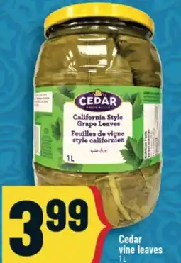 Marché Adonis Cedar vine leaves offer