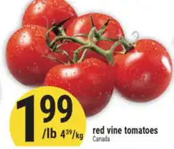 Marché Adonis Red vine tomatoes offer