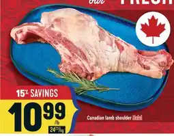 Marché Adonis Canadian lamb shoulder Halal offer
