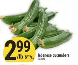 Marché Adonis Lebanese cucumbers offer