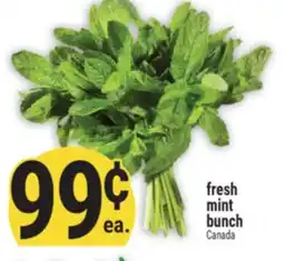 Marché Adonis Fresh mint bunch offer