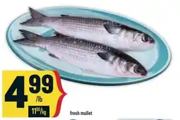 Marché Adonis Fresh mullet offer