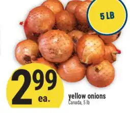 Marché Adonis Yellow onions offer