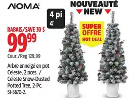 Canadian Tire Celeste Snow-Dusted Potted Tree, 2-Pc. 51-5670-2 offer