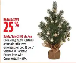 Canadian Tire Canvas Selected 18˝ Tabletop Potted Trees with Ornaments offer