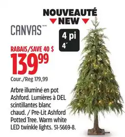 Canadian Tire Pre-Lit Ashford Potted Tree offer
