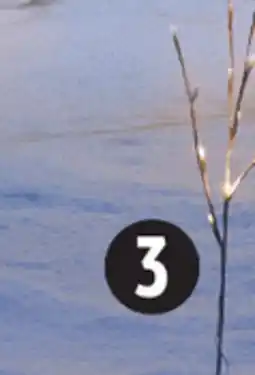 Canadian Tire CANVAS Twinkling Birch Stake Lights offer