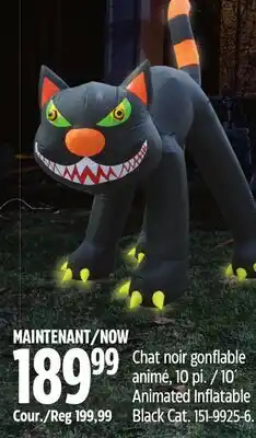 Canadian Tire For Living Animated Inflatable Black Cat offer