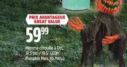 Canadian Tire FOR LIVING 19.5˝ LED Pumpkin Man offer