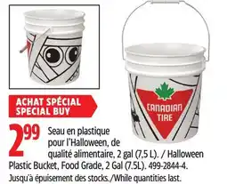 Canadian Tire Halloween Plastic Bucket, Food Grade offer