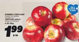 IGA POMMES CORTLAND offer