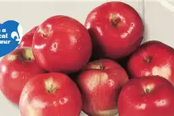 IGA SPARTAN APPLES offer