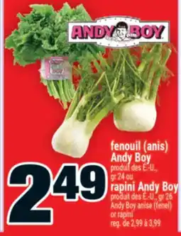 Super C FENOUIL (ANIS) ANDY BOY | ANDY BOY ANISE (FENEL) offer