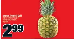 Super C ANANAS TROPICAL GOLD | TROPICAL GOLD PINEAPPLE offer
