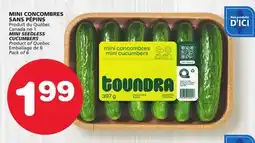 Marches Tradition MINI SEEDLESS CUCUMBERS offer