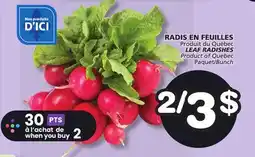 Marches Tradition LEAF RADISHES offer