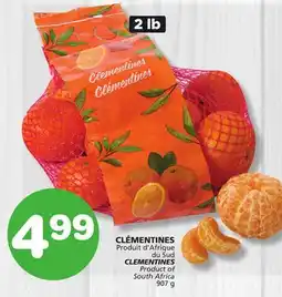 Marches Tradition CLEMENTINES offer