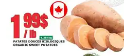 Marches Tau PATATES DOUCES BIOLOGIQUES offer
