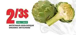 Marches Tau ARTICHAUD BIOLOGIQUE offer