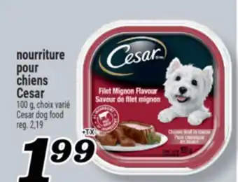 Marché Richelieu NOURRITURE POUR CHIENS CESAR | CESAR DOG FOOD offer