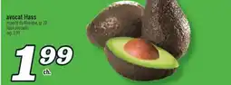 Marché Richelieu AVOCAT HASS | HASS AVOCADO offer