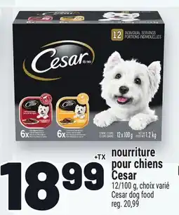 Metro NOURRITURE POUR CHIENS CESAR | CESAR DOG FOOD offer